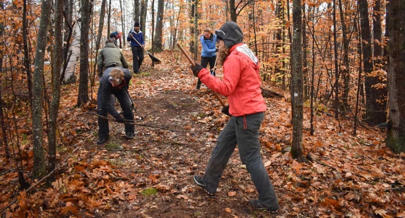 In a wooded area with fall foliage, a group of people use tools to work on a trail. 